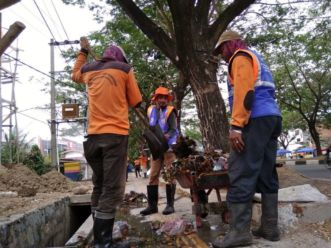 Petugas Lingkungan Hidup