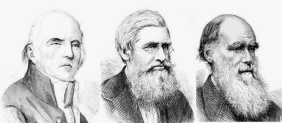 Teori+Evolusi+Lammarck,+Wallace,+Darwin