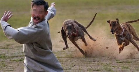 Inilah Eksekusi Mati Ala Kim Jong Un yang Sadis 8 Anjing Min