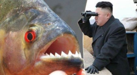 Inilah Eksekusi Mati Ala Kim Jong Un yang Sadis 7 Piranha Min
