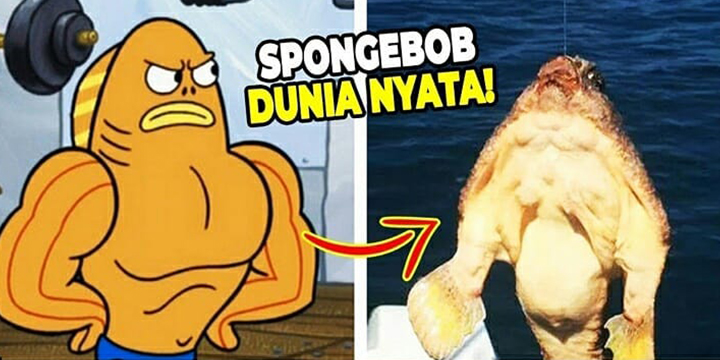 9 karakter di film kartun Spongebob yang terinspirasi dari dunia nyata