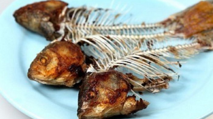Tulang Ikan makanan yang berbahaya untuk kucing