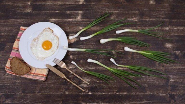 Beberapa Makanan Peningkat Kualitas Sperma