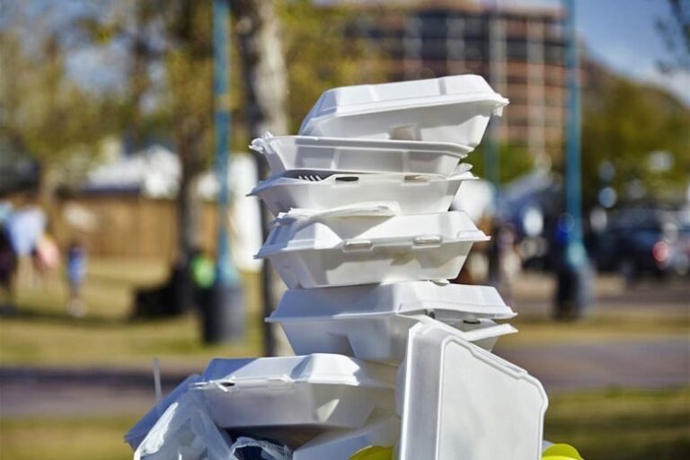 Fakta Sebenarnya Styrofoam yang Membuat Orang Salah Kaprah Selama Ini