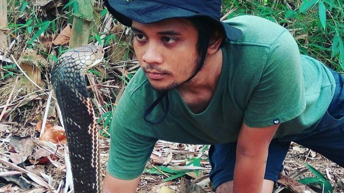 Panji Petualang Melepaskan Ular Kobra Kesayangannya Karena Disudutkan Banyak Netizen Indonesia