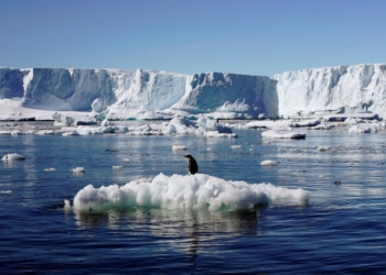Suhu Antartika Meninggi, Dunia Akan Terancam