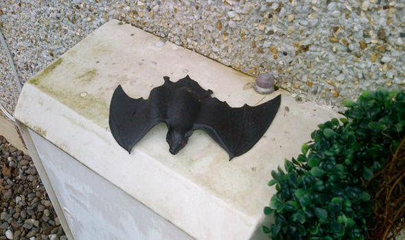 Bat 783643