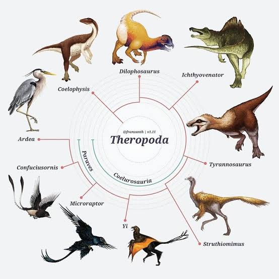 Dinosaurus Dan Burung