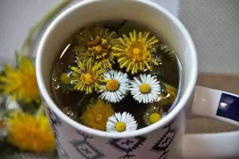 7 Minuman Yang Harus Diminum Agar Ginjal Kita Sehat 2 Dandelion Tea1