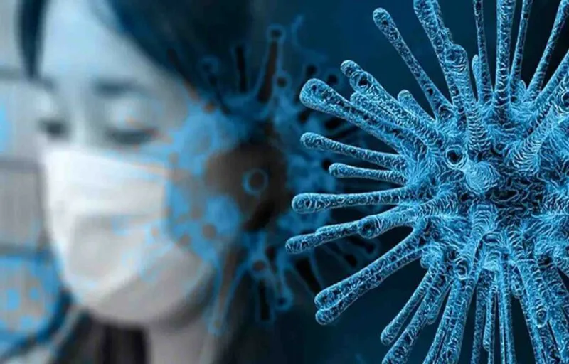 Apa Yang Terjadi Jika Virus Di Dunia Musnah