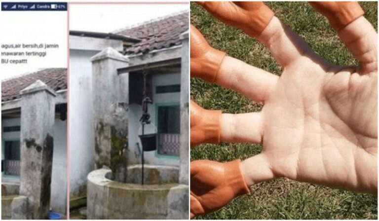 Barang Nyeleneh Yang Dijual Di Olshop