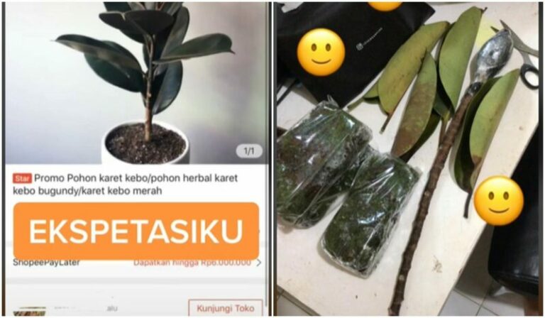 Kisah Kocak Wanita Beli Tanaman Yang Datang Terpisah Pisah