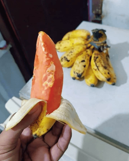 10 Cara Orang Makan Buah ini Bikin Sakit Perut 11 buah pepaya dan pisang