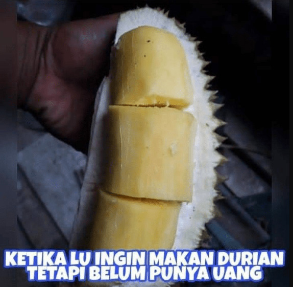 durian singkong