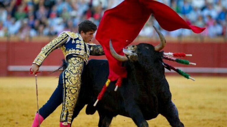 Mengapa Banteng Mengamuk Saat Melihat Warna Merah