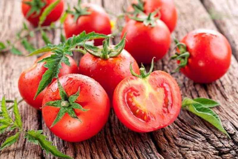 9 Manfaat Tomat Buah Yang Disangka Sayur