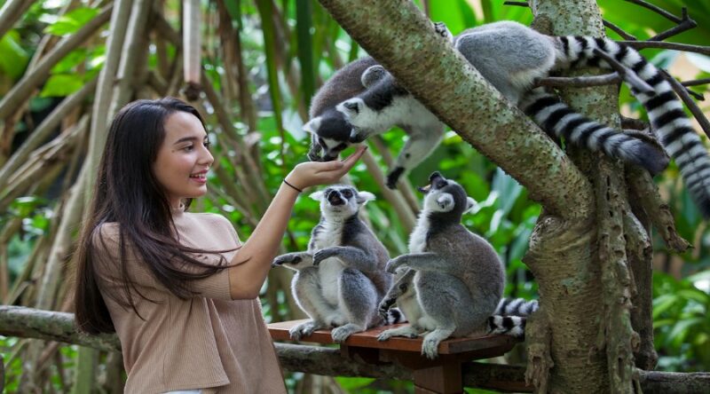 3 Lokasi Wisata Keren dan Menyengakan Si Kecil di Bali 6 Bali Zoo 1 900x500