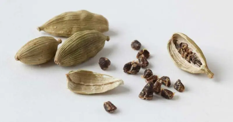 Nggak Harus Pake Parfum, 5 Makanan yang Bikin Aroma Tubuh jadi Wangi 7 Kapulaga