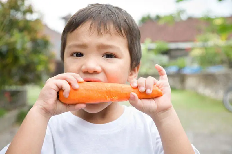 Makan Wortel Mempertajam Penglihatan