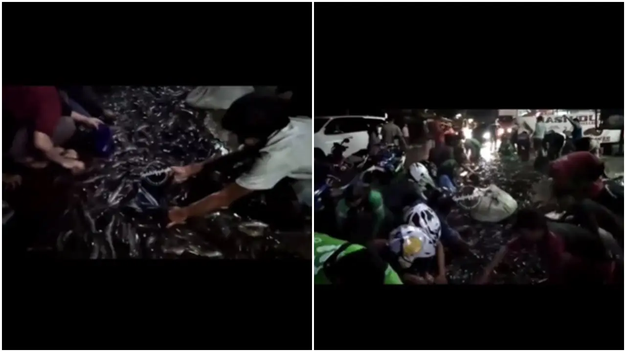 Warga Berebut Ikan Lele Dari Truk Yang Terguling, Sampai Bawa Karung