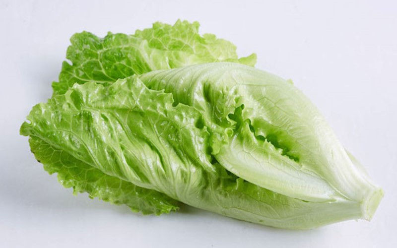 Dehidrasi? Langsung Deh Makan 7 Makanan Ini 11 Daun Selada Foto Pixabay 46