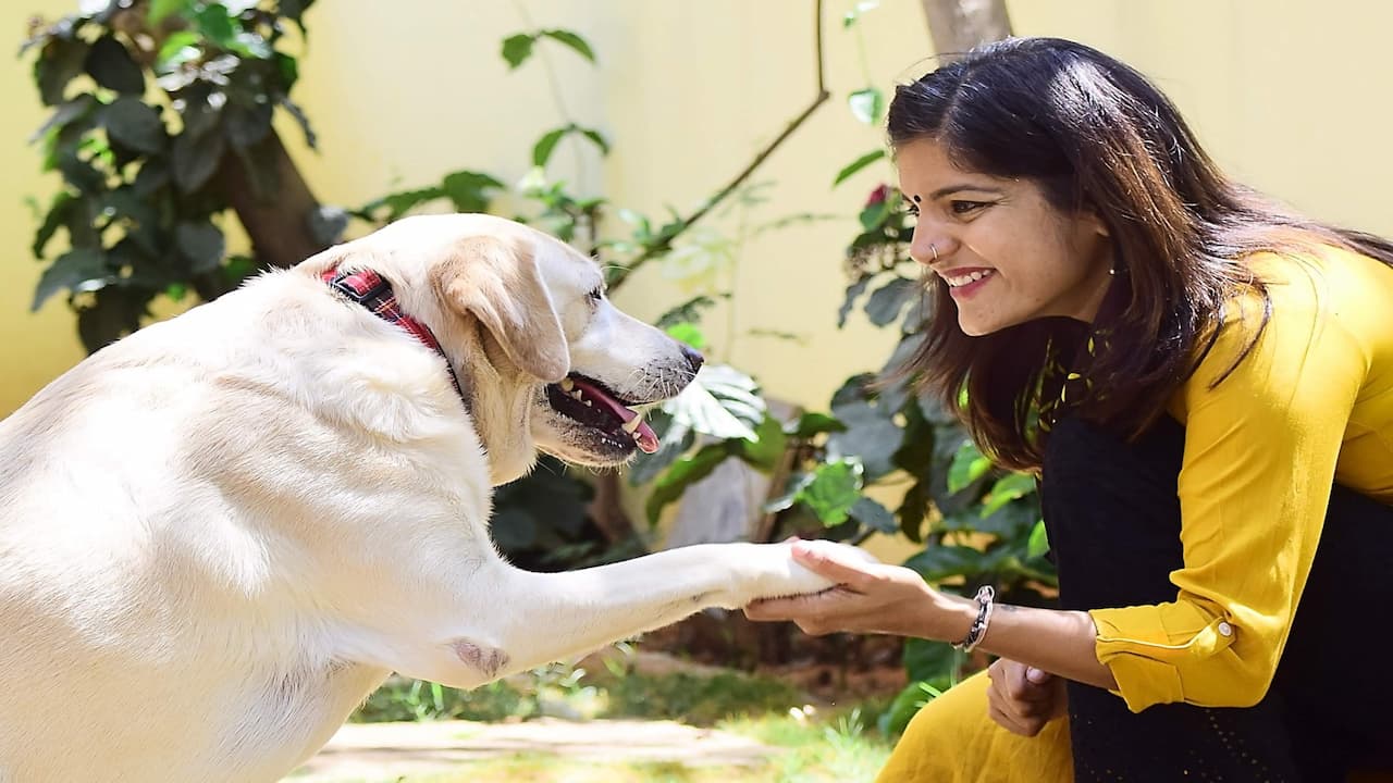 Tradisi Menikah Dengan Anjing Dipercaya Masyarakat India Membawa Keberutungan