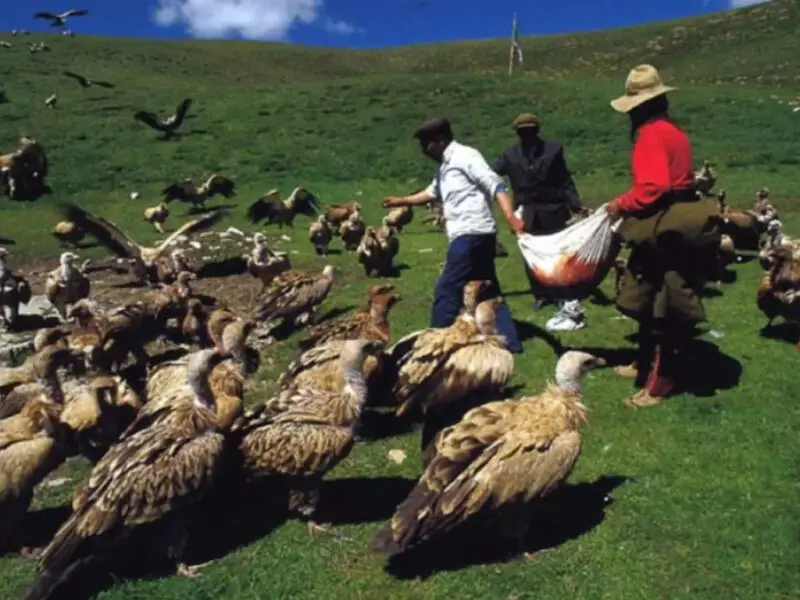 Jenazah Dimakan Burung, Tradisi Unik Pemakaman Langit di Tibet 6 pemakaman jenazah