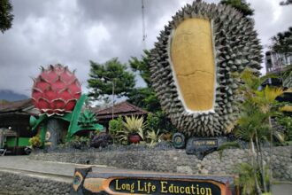 Wisata Durian Warso Farm Bogor