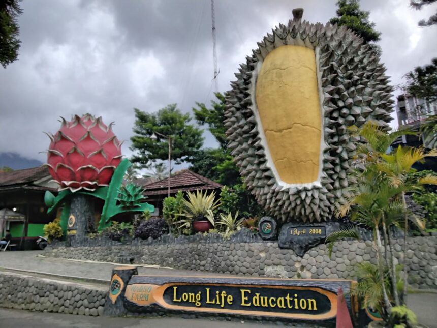 Wisata Durian Warso Farm Bogor