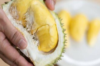 Manfaat Makan Buah Durian