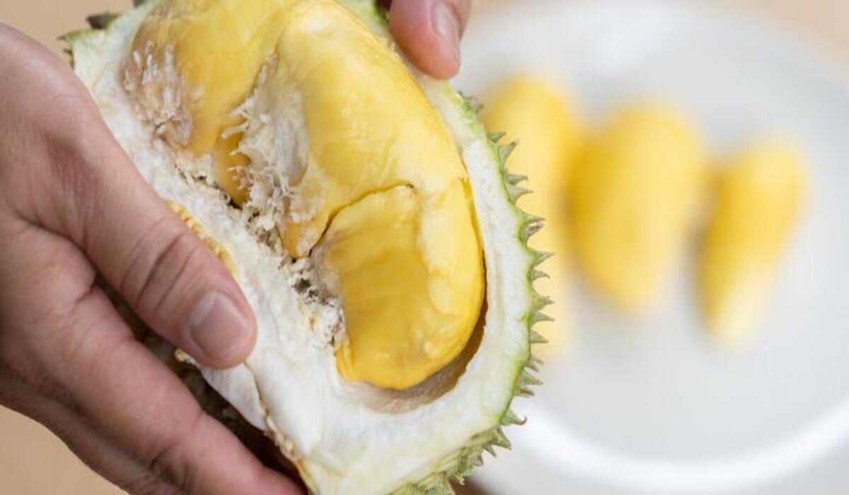 Manfaat Makan Buah Durian