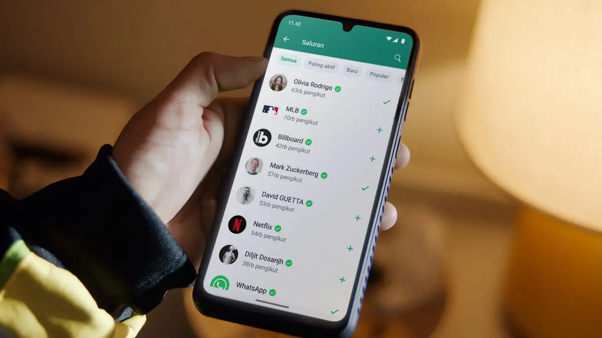 whatsapp channel 169