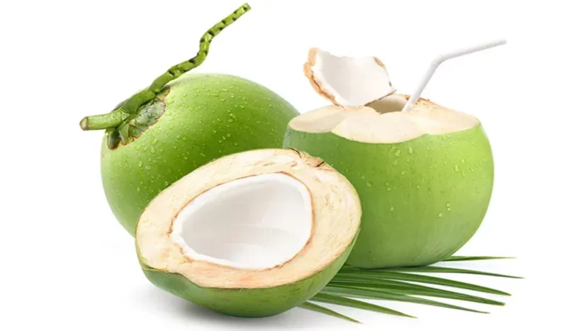 8 Buah Tinggi Kalori yang Sehat untuk Menambah Berat Badan 9 Manfaat Konsumsi Daging Buah Kelapa Untuk Buka Puasa.jpg 1